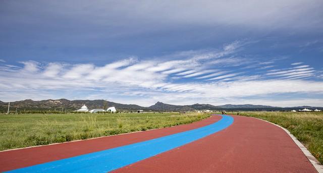 彩色沥青跑道和塑胶跑道的差别(图5)